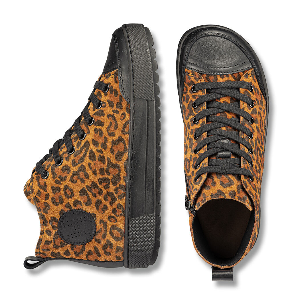 Savanna Bild 2
